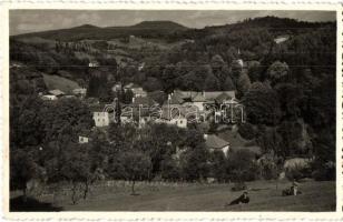 1936 Vihnyefürdő, Kúpele Vyhnye; látkép / general view, S. Protopopov photo (EK)