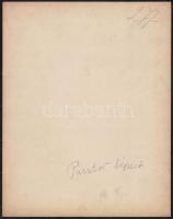cca 1900 Budapest, I Tabán, Pásztor lépcső. Nagyméretű fotó. Erdélyi Mór (1866-1934) fotója. 28x23 c...