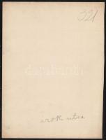 cca 1900 Budapest, I Tabán, Árok utca. Nagyméretű fotó. Erdélyi Mór (1866-1934) fotográfiája. 28x23 ...