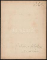 cca 1900 Budapest, I  Tabán, a Felsőhegy utca felől nézve. háttérben a Vár.. Nagyméretű fotó. Erdély...