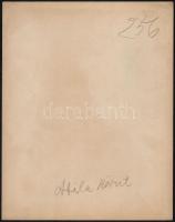 cca 1900 Budapest, I  Attila körút, Tabán üzletekkel.. Nagyméretű fotó. Erdélyi Mór (1866-1934) foto...