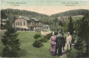 Anina, Stájerlakanina, Steierdorf; Nyaraló, Hollschütz F. kiadása / Sommerfrische / villa (EK)