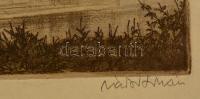 Zádor István (1882-1963): Visegrád. Színezett  rézkarc, papír, jelzett, 25×35 cm