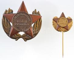 9db-os vegyes jelvény és kitüntetés tétel, benne ~1970-1980. "Katonai és Politikai Kiképzésben ...