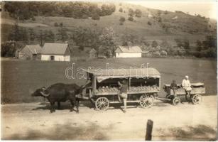 Székelyudvarhely, Odorheiu Secuiesc; Borvíz szállítása Szejkéről, ökrös szekér, folklór / mineral water transporting from Seiche, ox cart, photo