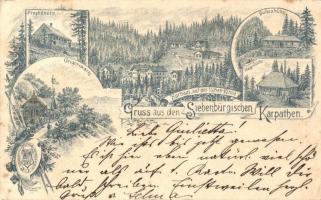 1895 (Vorläufer!!!) Szebenjuharos, Hohe Rinne, Paltinis; Grüss aus den Siebenbürgischen Karpaten! Presbahütte, Grigoriwarte, Kurhaus auf der Hohen-Rinne, Negoihütte, Bulleahütte. Siebenbürgischer Karpaten-Verein, Dibbern & Sperling / Üdvözlet az Erdélyi Kárpátokból... gyógyház, vendégházak. Az Erdélyi (Szász) Kárpát Egyesület kiadása / spa, guest houses, floral Art Nouveau (Rb)