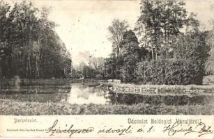 Boldogkőváralja, Bodókőváralja; park, háttérben a vár (EK)