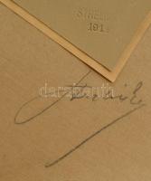 Ghyczy Kálmán és neje, aláírt Strelisky fotó katonon. Fotó mérete 18x23 cm