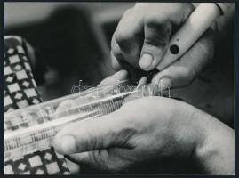 cca 1978 Kortárs fotóművészeti alkotások, 4 db feliratozott vintage fotó, 18x24 cm