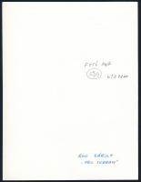 cca 1978 Kortárs fotóművészeti alkotások, 4 db feliratozott vintage fotó, 18x24 cm