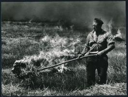 cca 1978 Kortárs fotóművészeti alkotások, 4 db feliratozott vintage fotó, 18x24 cm