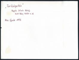 cca 1978 Kortárs fotóművészeti alkotások, 4 db feliratozott vintage fotó, 18x24 cm