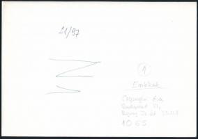 cca 1976 Kortárs fotóművészeti alkotások, 4 db vintage fotó, három feliratozva, 24x18 cm