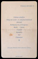 cca 1929 Zsitvay Tibor (1884-1969) igazságügyminiszter, Tasnádi Nagy András (1882-1956) igazságügymi...