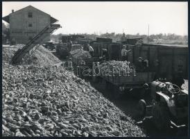 cca 1960 és 1983 között, Szolnok, Martfű, Kunszentmárton, Törökszentmiklós, 6 db feliratozott vintag...