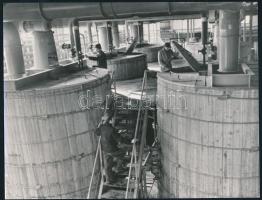 cca 1960 és 1983 között, Szolnok, Martfű, Kunszentmárton, Törökszentmiklós, 6 db feliratozott vintag...