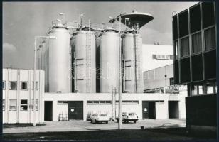 cca 1960 és 1983 között, Szolnok, Martfű, Kunszentmárton, Törökszentmiklós, 6 db feliratozott vintag...