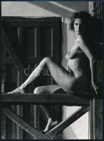 cca 1980 Karfán termő szép leány, jelzés nélküli vintage fotó, 25x18,5 cm / erotic photo, 25x18,5 cm
