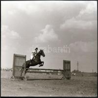 cca 1968 Sinka Antal hagyatékából: lovas díjugrató verseny, 13 db vintage negatív, 6x6 cm