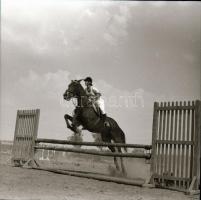 cca 1968 Sinka Antal hagyatékából: lovas díjugrató verseny, 13 db vintage negatív, 6x6 cm