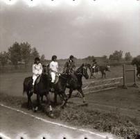 cca 1968 Sinka Antal hagyatékából: lovas díjugrató verseny, 13 db vintage negatív, 6x6 cm