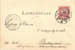 Szolnok, Városház, piac, Sebők Nándor, Konsitzky György és Fuchs Lipót és fia üzlete. Kiadja Fuchs L...