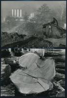 cca 1977 Kortárs fotóművészeti alkotások, 13 db feliratozott vintage fotó, kis eltérésekkel mind 13x...