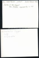 cca 1977 Kortárs fotóművészeti alkotások, 13 db feliratozott vintage fotó, kis eltérésekkel mind 13x...