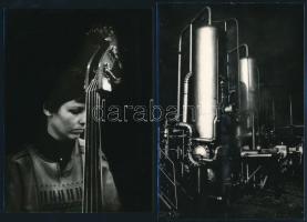 cca 1977 Kortárs fotóművészeti alkotások, 13 db feliratozott vintage fotó, kis eltérésekkel mind 13x...