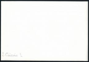 cca 1976 Kortárs fotóművészeti alkotások, 5 db - részben jelzett - vintage fotó, 18x24 cm és 24x15 c...