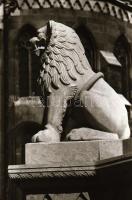 cca 1989 Budapesti városképek, életképek, főleg a budai várban és a belvárosban készült, szabadon fe...