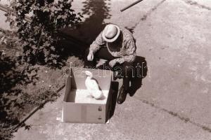 cca 1989 Budapesti városképek, életképek, főleg a budai várban és a belvárosban készült, szabadon fe...