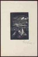 Szűcs Pál szignós nyomat 16x24 cm