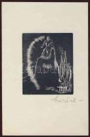 Szűcs Pál szignós nyomat 16x24 cm