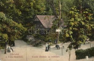 Félix-fürdő, Baile Felix; vasútállomás az erdőben / railway station in the forest (b)