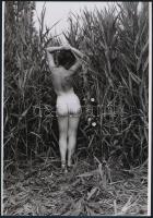 cca 1978 Kis kaland a nádasban, 3 db szolidan erotikus fotó, vintage negatívokról készült mai nagyít...