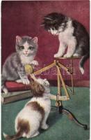 10 db FŐLEG régi állatos motívumlap / 10 mostly pre-1945 animal motive cards