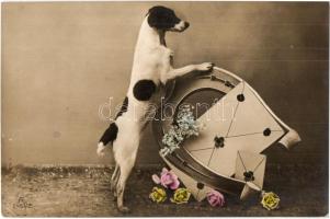 4 db RÉGI kutyákat ábrázoló motívumlap, vegyes minőségben / 4 pre-1945 dog motive cards in mixed qua...