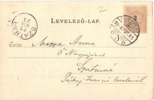 1899 Budapest V. Deák tér, Renisch Testvérek élővirág csarnoka, Divald Károly 215. sz. (EK)