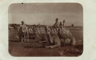 1914 Strumica, camels, photo (small tear)