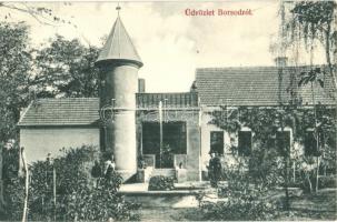 Boldva, Szathmáry kastély, villa, kert (EK)