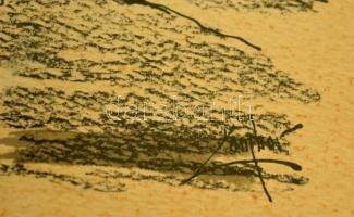 Olvashatatlan jelzéssel: Székelykapunál. Vegyes technika, papír, üvegezett keretben, 20x26 cm