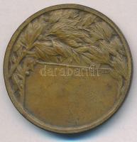 ~1930. "Újpesti Torna Egylet 1885" Br emlékérem hátoldalán "LUDVIG BPEST" gyártó...