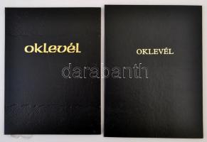 1988-1995 6 db különféle elismerő oklevél Müller Judit (?- ) sajtófotós részére