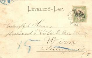 Lugos, Lugoj; Deák Ferenc utca, Kézműáru raktár a Kék Csillaghoz, Epstein Sándor üzlete / street vie...