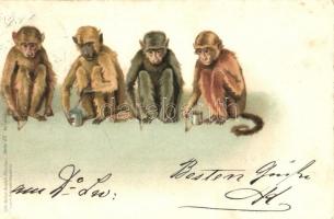 1898 Monkeys painting, Lith-Artist Anstalt München (vorm. Gebrüder Obpacher) Serie IX. No. 16249. litho (Rb)