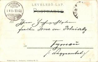 1899 Monkeys polishing shoes, Wittenberg L. Kutzner & Berger No. 200. litho (EK)