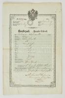 1853 Házaló útlevél sok település pecsétjével / 1853 Peddler passport