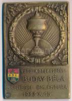 1933. "Buday Béla B(alaton)kenesei emléktúra 1933 X. 15. - Autó-motorosztály" zománcozott Br emlékplakett (41x61mm) T:2 hátoldalán ragasztónyom