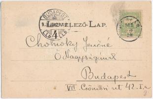 1903 Balatonboglár, Boglár; Balaton szálloda kerttel. Hartmann Henrik kiadása; Cholnoky Jenő levele ...